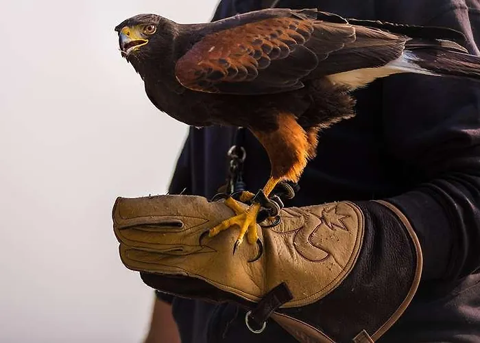 Hotel Og Plume Bressuire