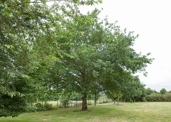 Og Plume * Bressuire